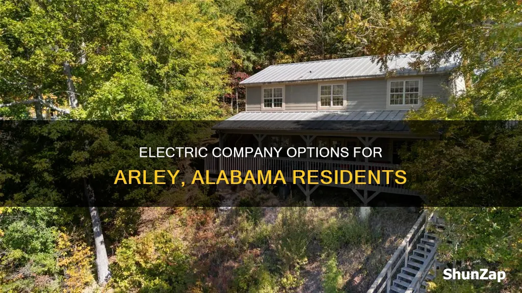 what electric company serves arley al
