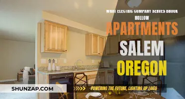 Electricity Provider for Brook Hollow Apartments in Salem, Oregon