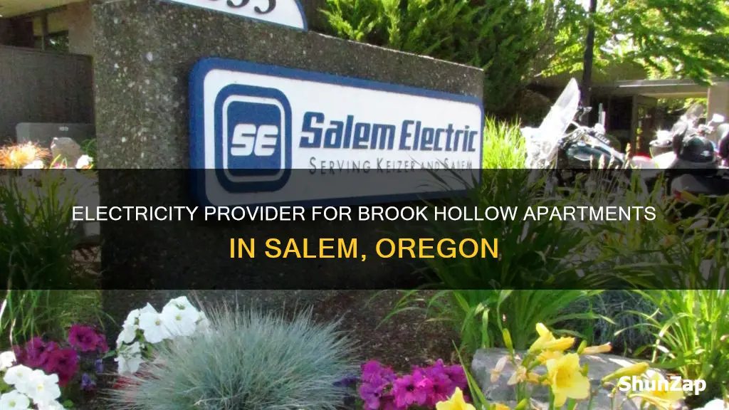 what electric company serves brook hollow apartments salem oregon