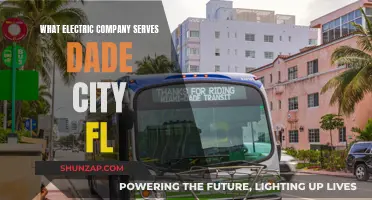 Dade City's Electric Power: Who's the Supplier?