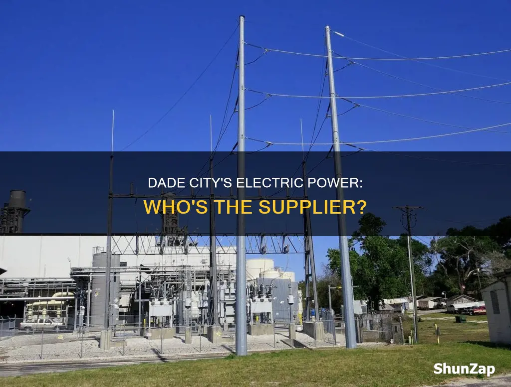 what electric company serves dade city fl