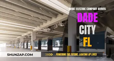 Who Powers Dade City, Florida? Electric Company Options