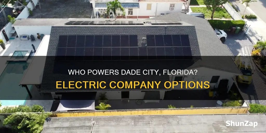what electric company serves dade city fl