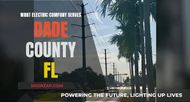 Dade County's Electric Power: Who's the Supplier?