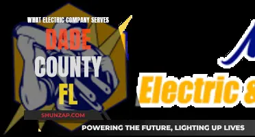Florida Power and Light: Dade County's Electric Company