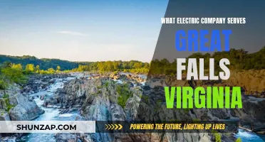 Electric Company Options in Great Falls, Virginia