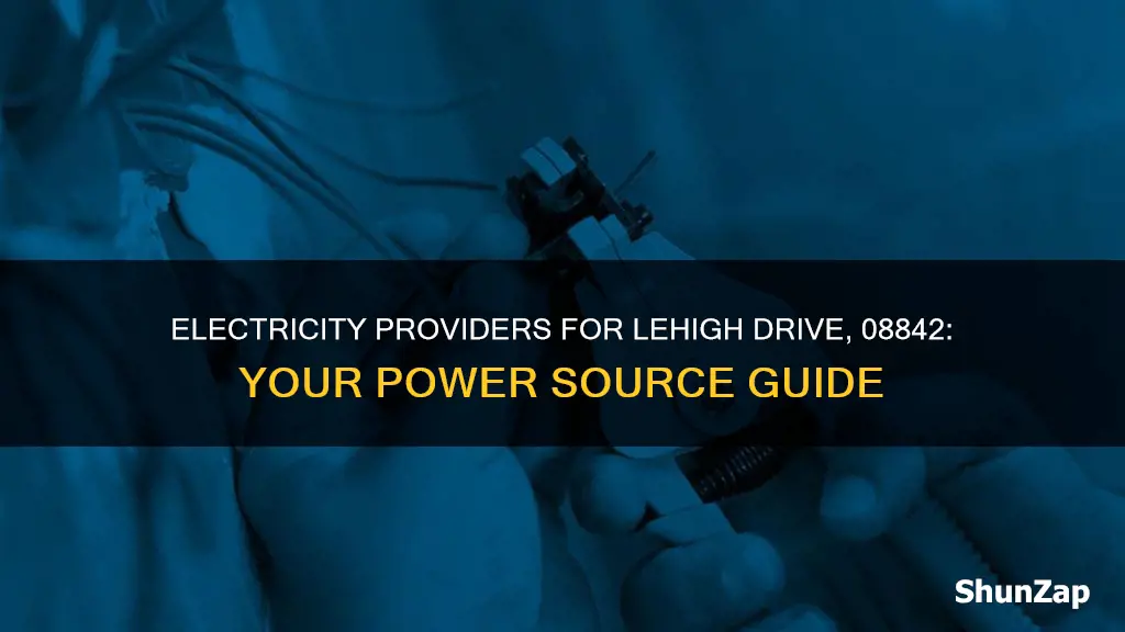 what electric company serves lehigh drive 08842