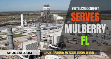 Mulberry, FL: Electric Power Providers Unveiled