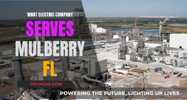 Who Powers Mulberry, FL? Electric Company Options for Residents