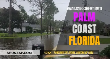 Powering Palm Coast: Electric Company Guide