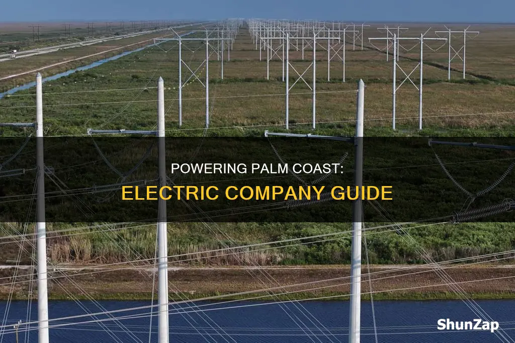 what electric company serves palm coast florida