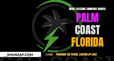 Electric Company Options in Palm Coast, Florida: Who Serves the Area?