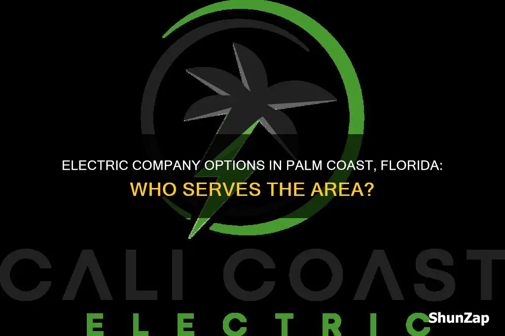 what electric company serves palm coast florida