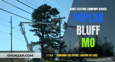 Electric Company Options in Poplar Bluff, Missouri