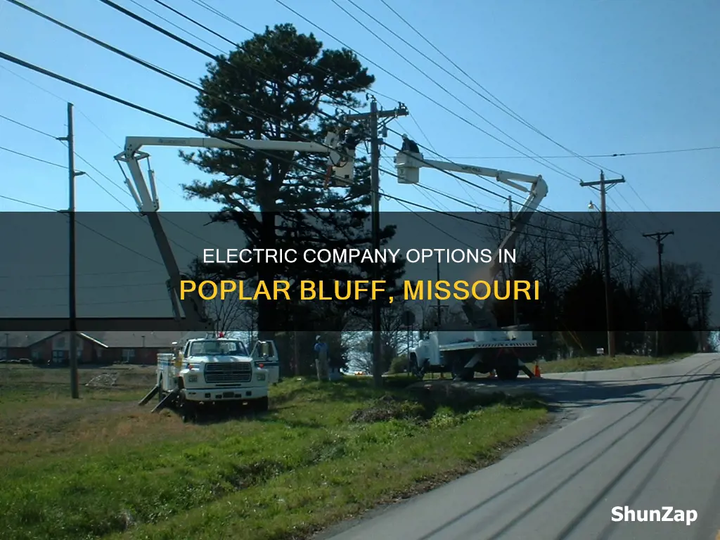 what electric company serves poplar bluff mo