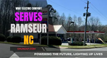 Powering Ramseur, NC: Discover Your Electric Company