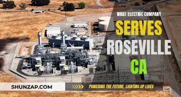 Roseville's Electric Power: Who's the Supplier?