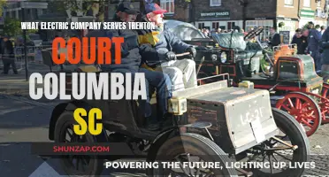 Electric Company Options for Trenton Court, Columbia, SC