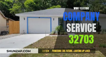 Electric Company Service in 32703: Who's Your Provider?