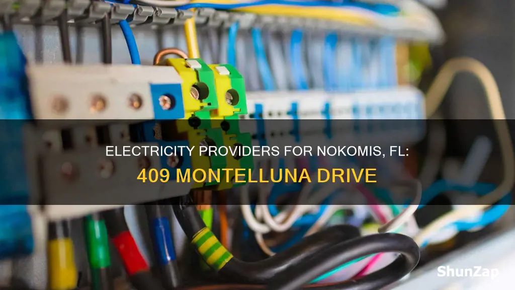 what electric company service 409 montelluna drive nokomis fl