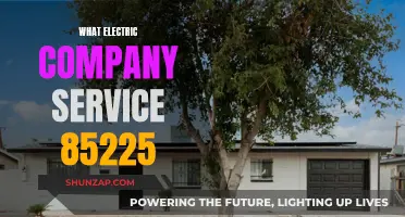 Electric Company Service: Who Powers 85225?