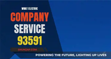 Electric Company Service: Who Powers California's 93591?