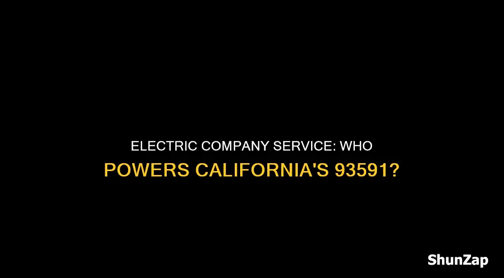 what electric company service 93591