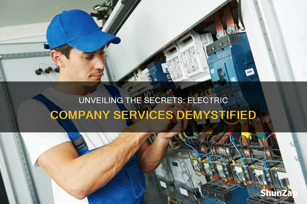 what electric company service de