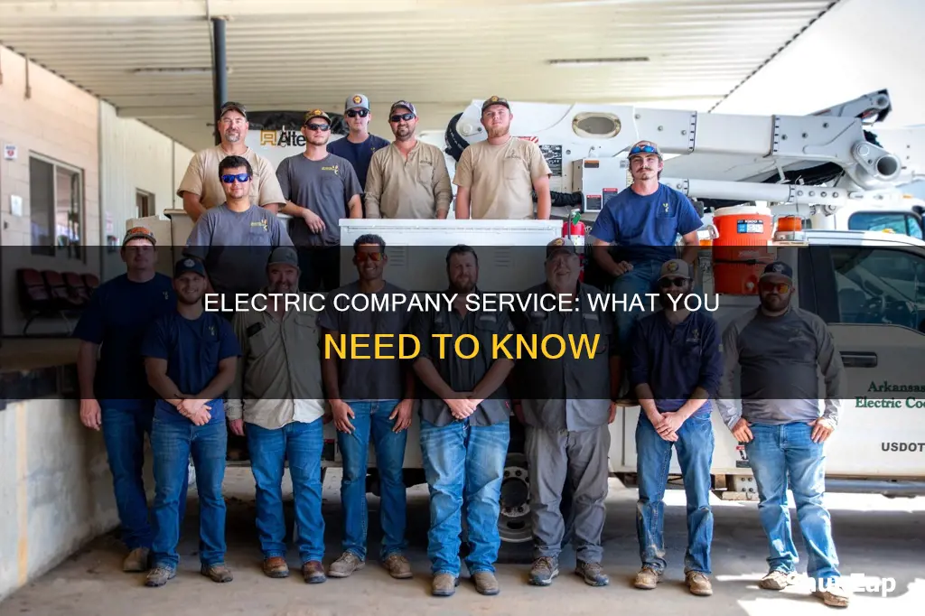 what electric company service de