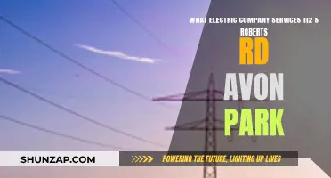 Powering Your Home: Discover the Electric Company at 112 S Roberts Rd, Avon Park