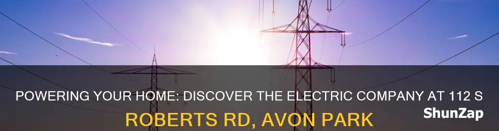 what electric company services 112 s roberts rd avon park