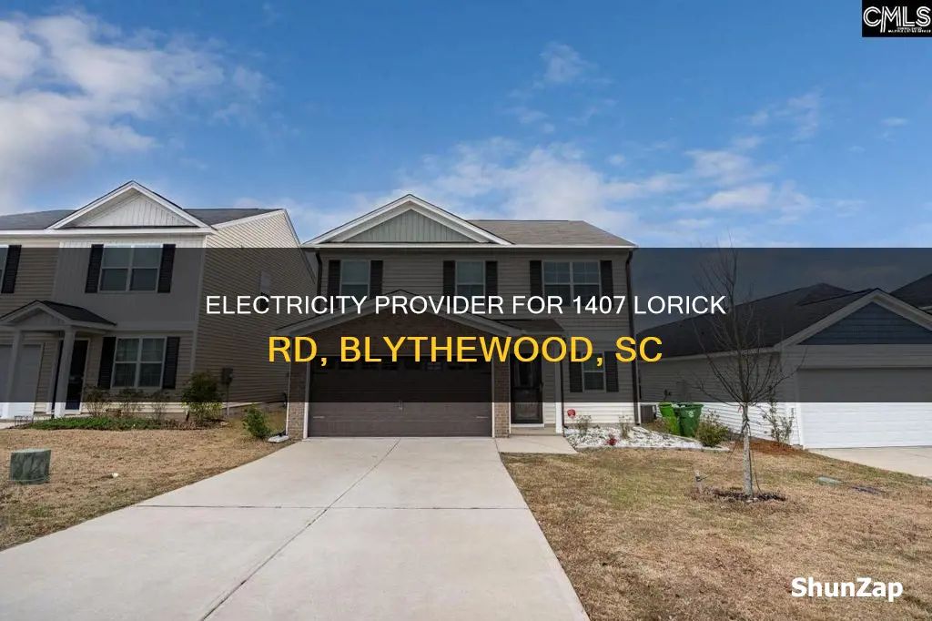 what electric company services 1407 lorick road blythewood sc 29016