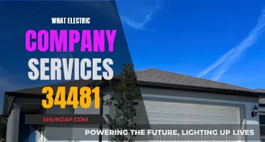 Electric Company Services for 34481: Who's Your Provider?