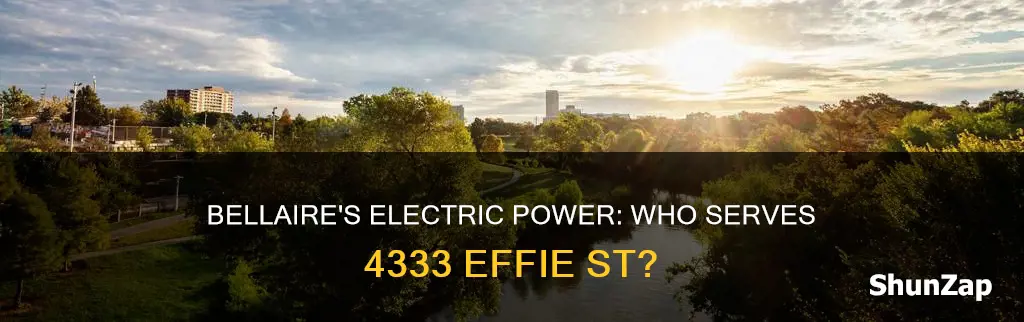 what electric company services 4333 effie st bellaire tx 77401