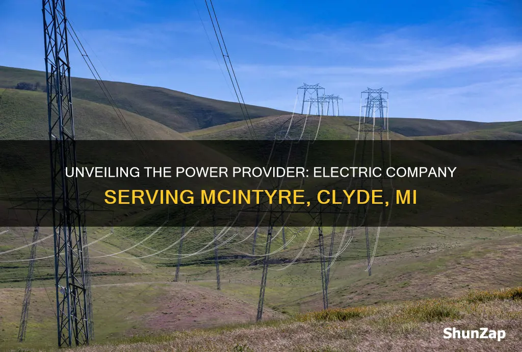 what electric company services 5955 mcintyre clyde mi