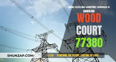 Uncover the Electric Company Serving Your Address: 6 Rambling Wood Court, 77380