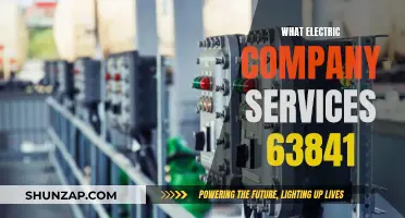 Unveiling the Electric Power Provider in Your Zip Code: 63841