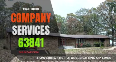 Electric Company Services in 63841: Who's Your Provider?