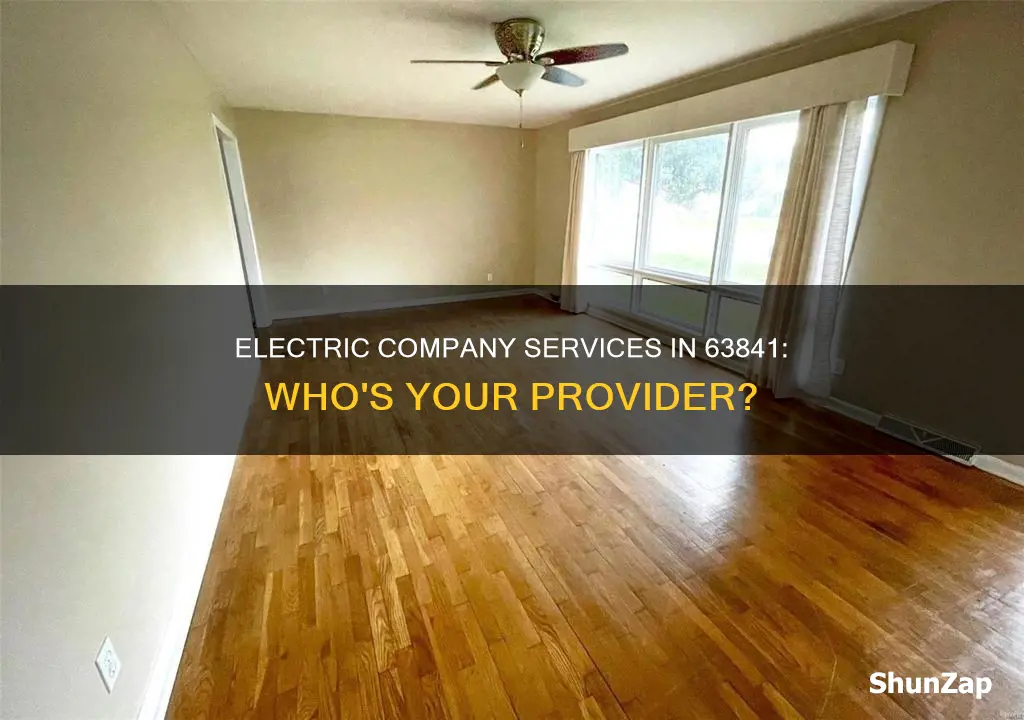 what electric company services 63841