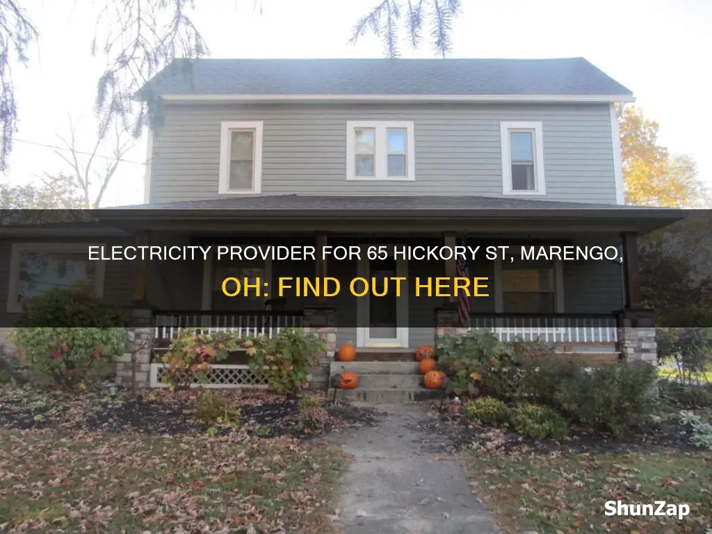 what electric company services 65 hickory st marengo ohio