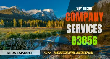 Electric Company Services: Unraveling the 83856 Mystery