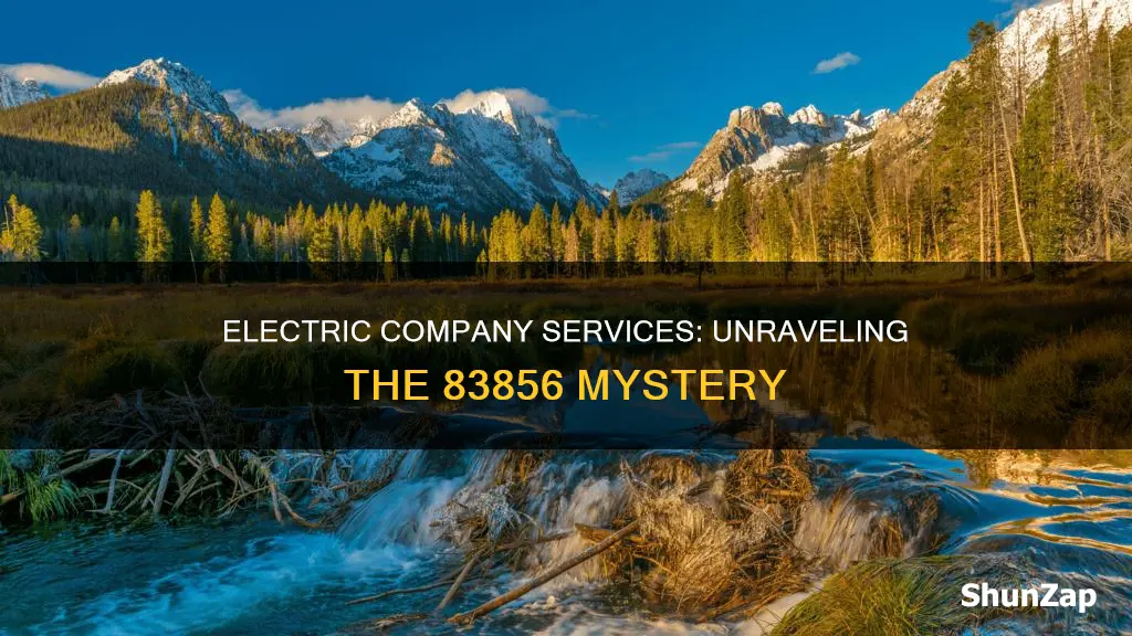 what electric company services 83856