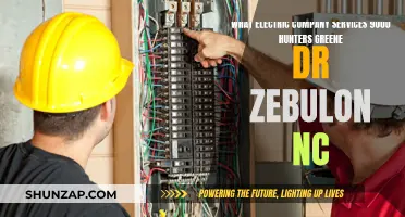 Zebulon's Electric Power: Who Serves 9000 Hunters Greene Dr?