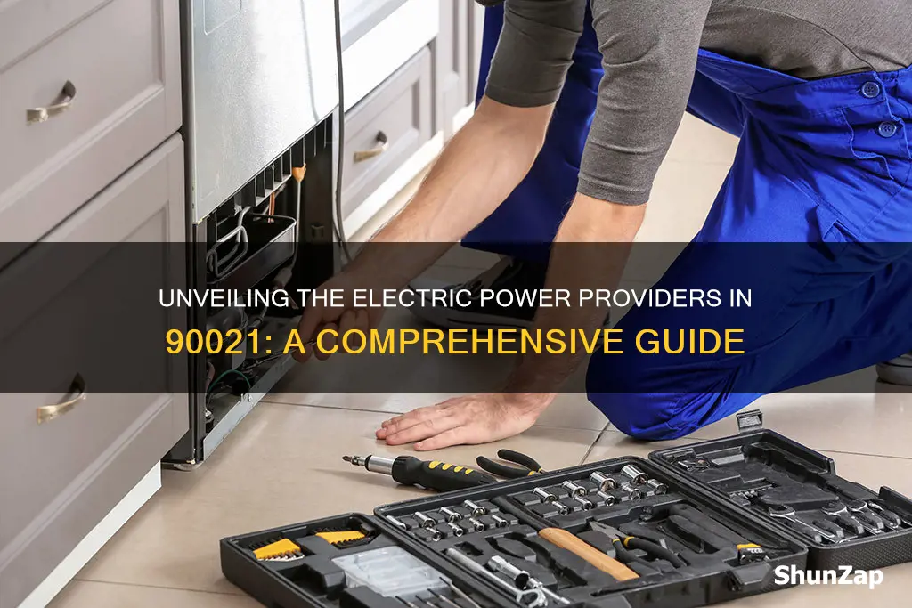 what electric company services 90021