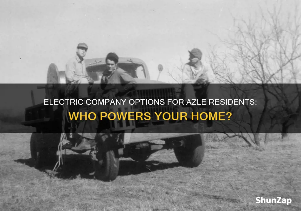 what electric company services azle