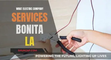 Bonita's Electric Company: Powering Your Home with Expert Services