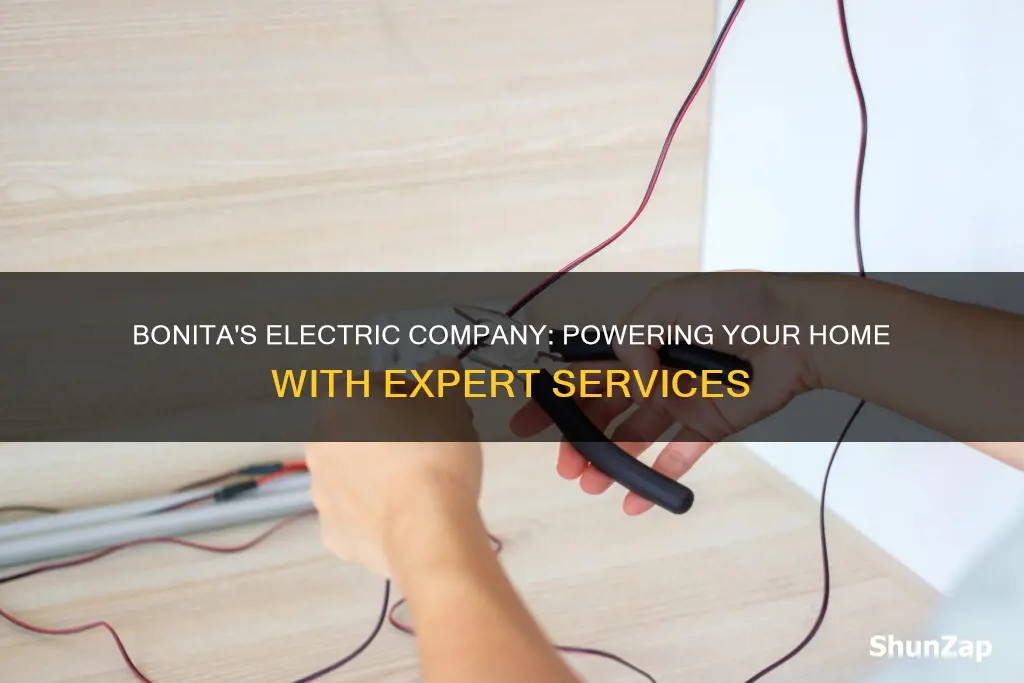 what electric company services bonita la