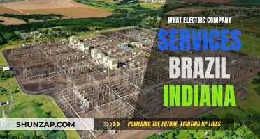 Brazil Indiana's Electric Company: Powering Up with Services