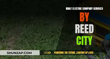 Reed City's Electric Company: Powering Up with Essential Services