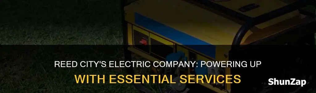 what electric company services by reed city